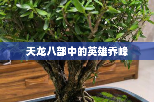 天龙八部中的英雄乔峰