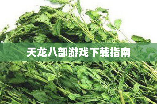 天龙八部游戏下载指南