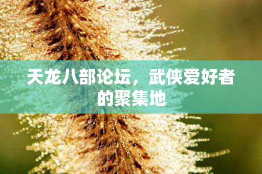 天龙八部论坛,武侠爱好者的聚集地 天龙八部论坛,武侠爱好者的聚集地