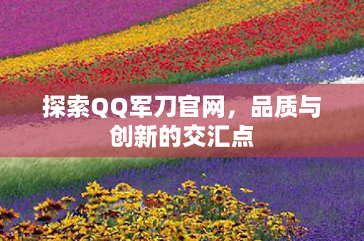 探索QQ军刀官网，品质与创新的交汇点