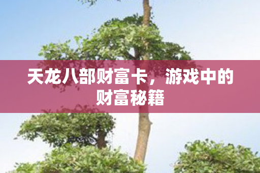 天龙八部财富卡，游戏中的财富秘籍