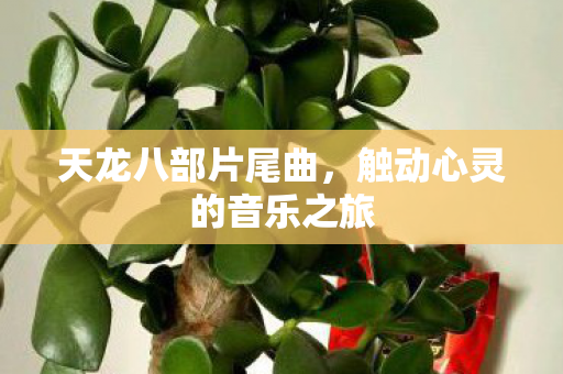 天龙八部片尾曲，触动心灵的音乐之旅