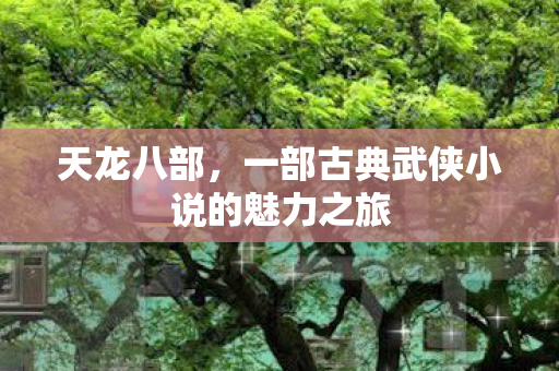 天龙八部，一部古典武侠小说的魅力之旅