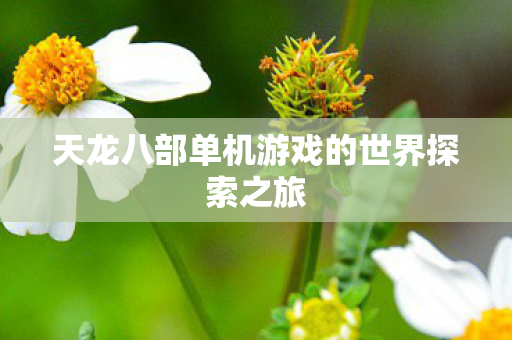 天龙八部单机游戏的世界探索之旅