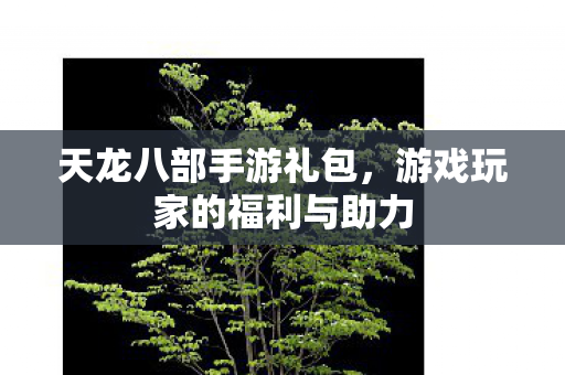 天龙八部手游礼包，游戏玩家的福利与助力