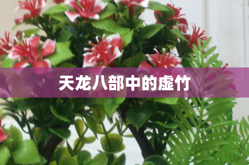 天龙八部中的虚竹