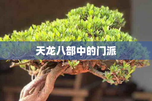 天龙八部中的门派