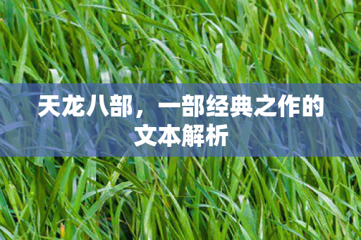 天龙八部，一部经典之作的文本解析