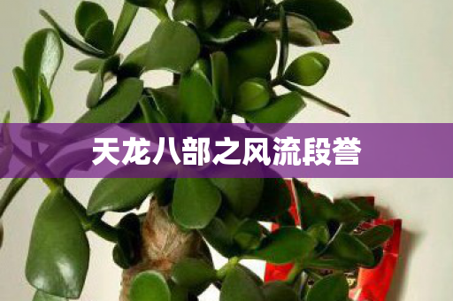 天龙八部之风流段誉