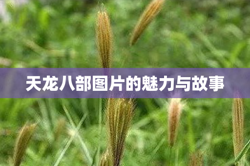 天龙八部图片的魅力与故事 天龙八部图片的魅力与故事