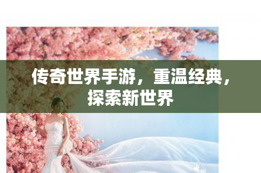 传奇世界手游,重温经典,探索新世界 传奇世界手游,重温经典,探索新世界