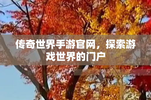 传奇世界手游官网，探索游戏世界的门户