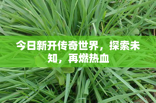 今日新开传奇世界，探索未知，再燃热血