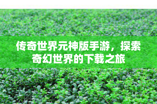 传奇世界元神版手游，探索奇幻世界的下载之旅