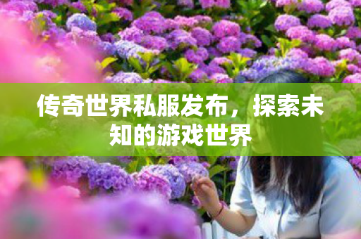 传奇世界私服发布，探索未知的游戏世界