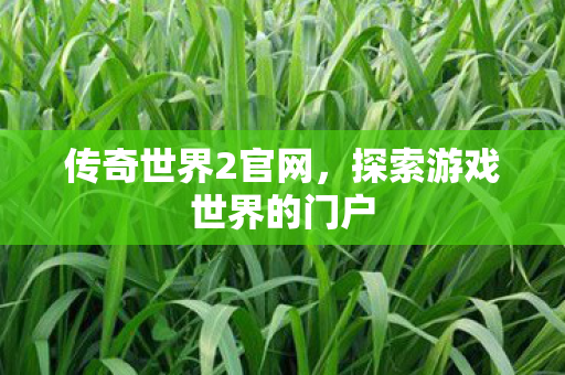 传奇世界2官网，探索游戏世界的门户