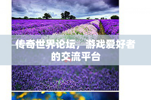 传奇世界论坛，游戏爱好者的交流平台