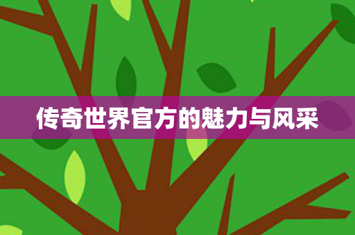 传奇世界官方的魅力与风采 传奇世界官方的魅力与风采