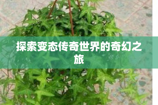 探索变态传奇世界的奇幻之旅 探索变态传奇世界的奇幻之旅