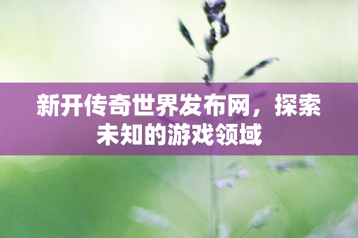 新开传奇世界发布网，探索未知的游戏领域