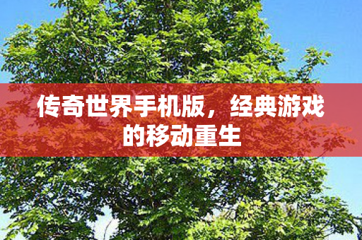 传奇世界手机版，经典游戏的移动重生