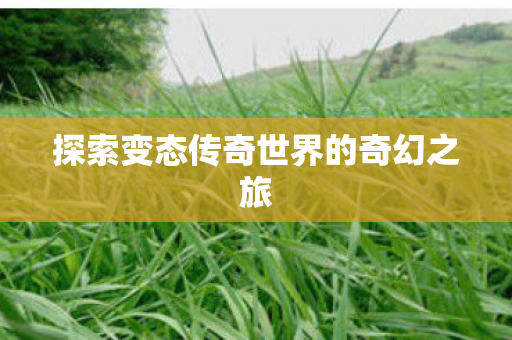 探索变态传奇世界的奇幻之旅