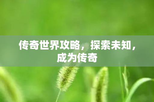 传奇世界攻略，探索未知，成为传奇