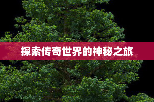 探索传奇世界的神秘之旅 探索传奇世界的神秘之旅