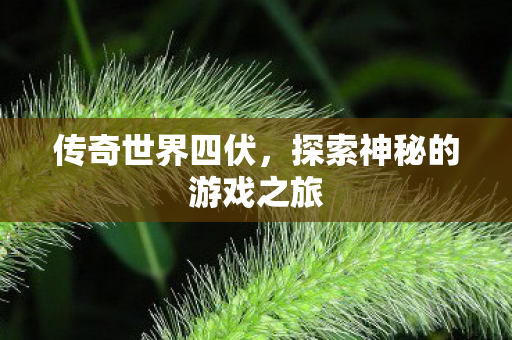 传奇世界四伏，探索神秘的游戏之旅