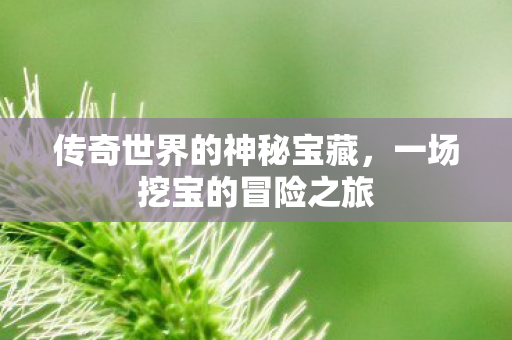 传奇世界的神秘宝藏,一场挖宝的冒险之旅 传奇世界的神秘宝藏,一场挖宝的冒险之旅