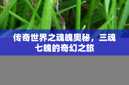 传奇世界之魂魄奥秘，三魂七魄的奇幻之旅