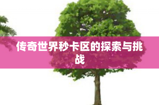 传奇世界秒卡区的探索与挑战 传奇世界秒卡区的探索与挑战