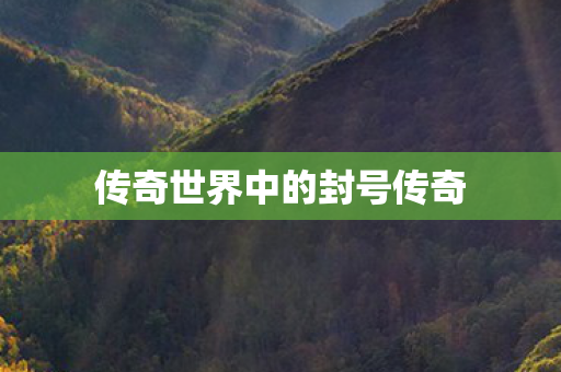 传奇世界中的封号传奇 传奇世界中的封号传奇