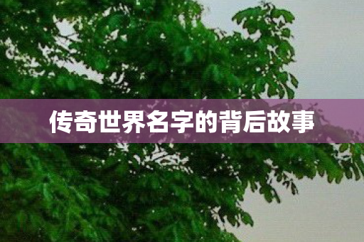 传奇世界名字的背后故事