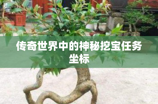 传奇世界中的神秘挖宝任务坐标