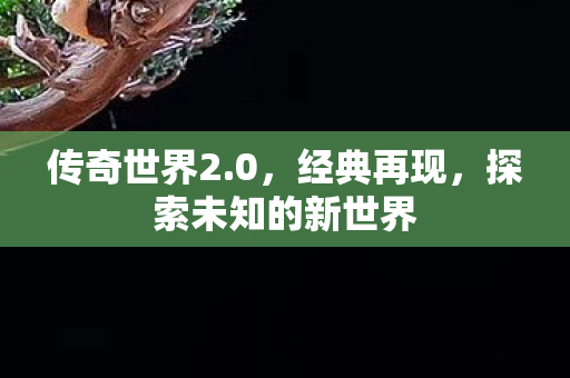 传奇世界2.0，经典再现，探索未知的新世界