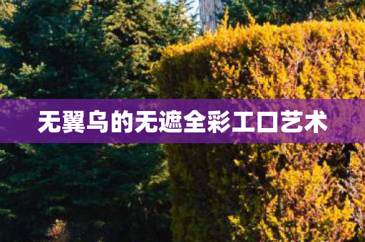 无翼乌的无遮全彩工口艺术
