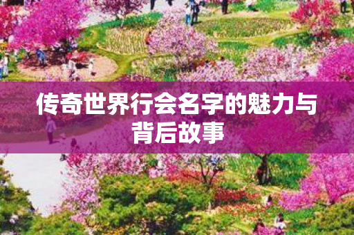 传奇世界行会名字的魅力与背后故事