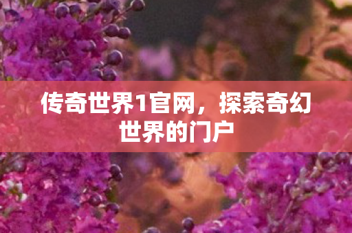 传奇世界1官网,探索奇幻世界的门户 传奇世界1官网,探索奇幻世界的门户