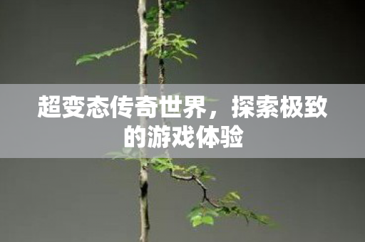 超变态传奇世界，探索极致的游戏体验