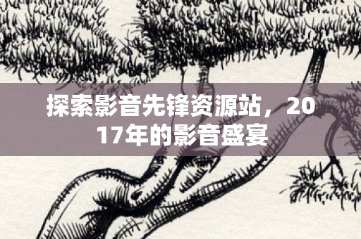 探索影音先锋资源站，2017年的影音盛宴