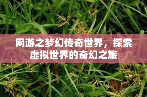 网游之梦幻传奇世界，探索虚拟世界的奇幻之旅