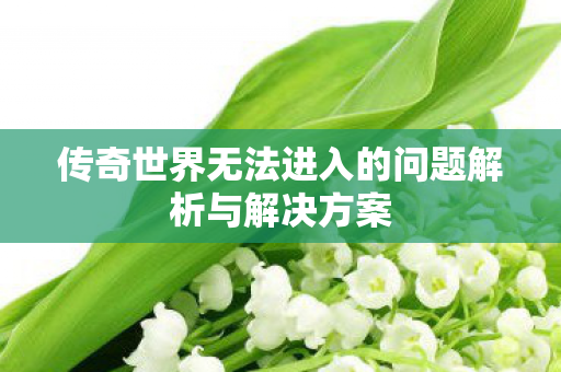 传奇世界无法进入的问题解析与解决方案