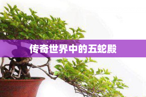 传奇世界中的五蛇殿