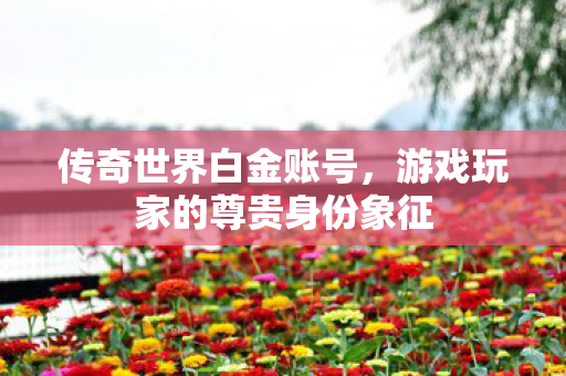传奇世界白金账号，游戏玩家的尊贵身份象征