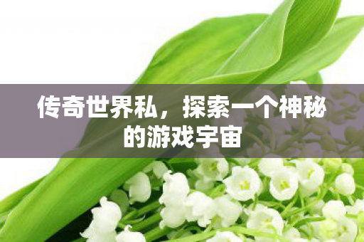 传奇世界私，探索一个神秘的游戏宇宙
