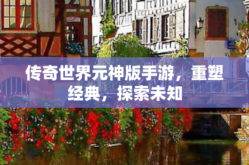 传奇世界元神版手游，重塑经典，探索未知