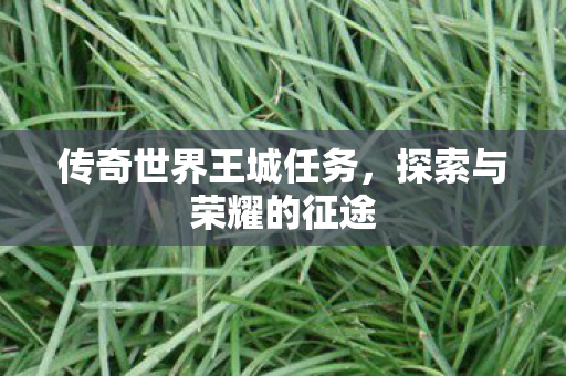 传奇世界王城任务，探索与荣耀的征途