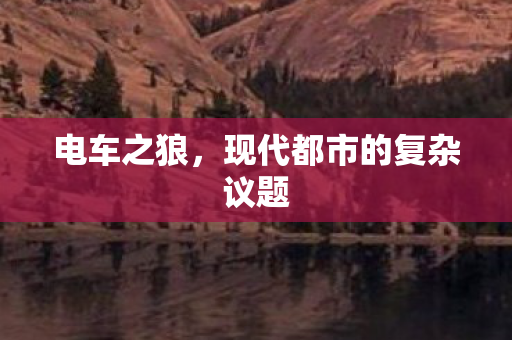 电车之狼，现代都市的复杂议题