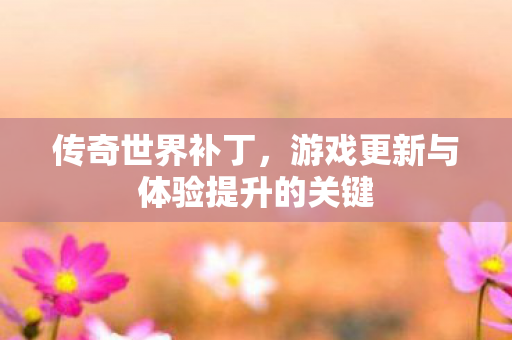 传奇世界补丁，游戏更新与体验提升的关键
